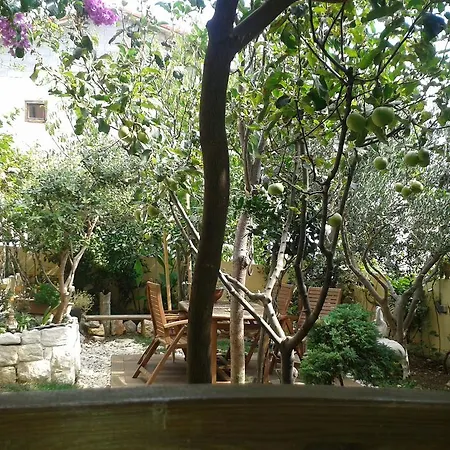 Adria Guest house *